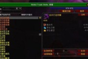 魔兽世界（tbcP4萨满BIS配装全面解析）