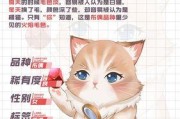 《以灵猫传灵猫》游戏获取方法一览（轻松获取你的灵猫伙伴）