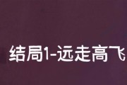 《以文鸟恋爱物语》全剧情通关攻略