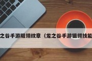 《龙之谷手游狙翎加点攻略》（狙翎职业加点技巧与选择）